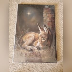 Donkey Art Print with Starry Night 24x16